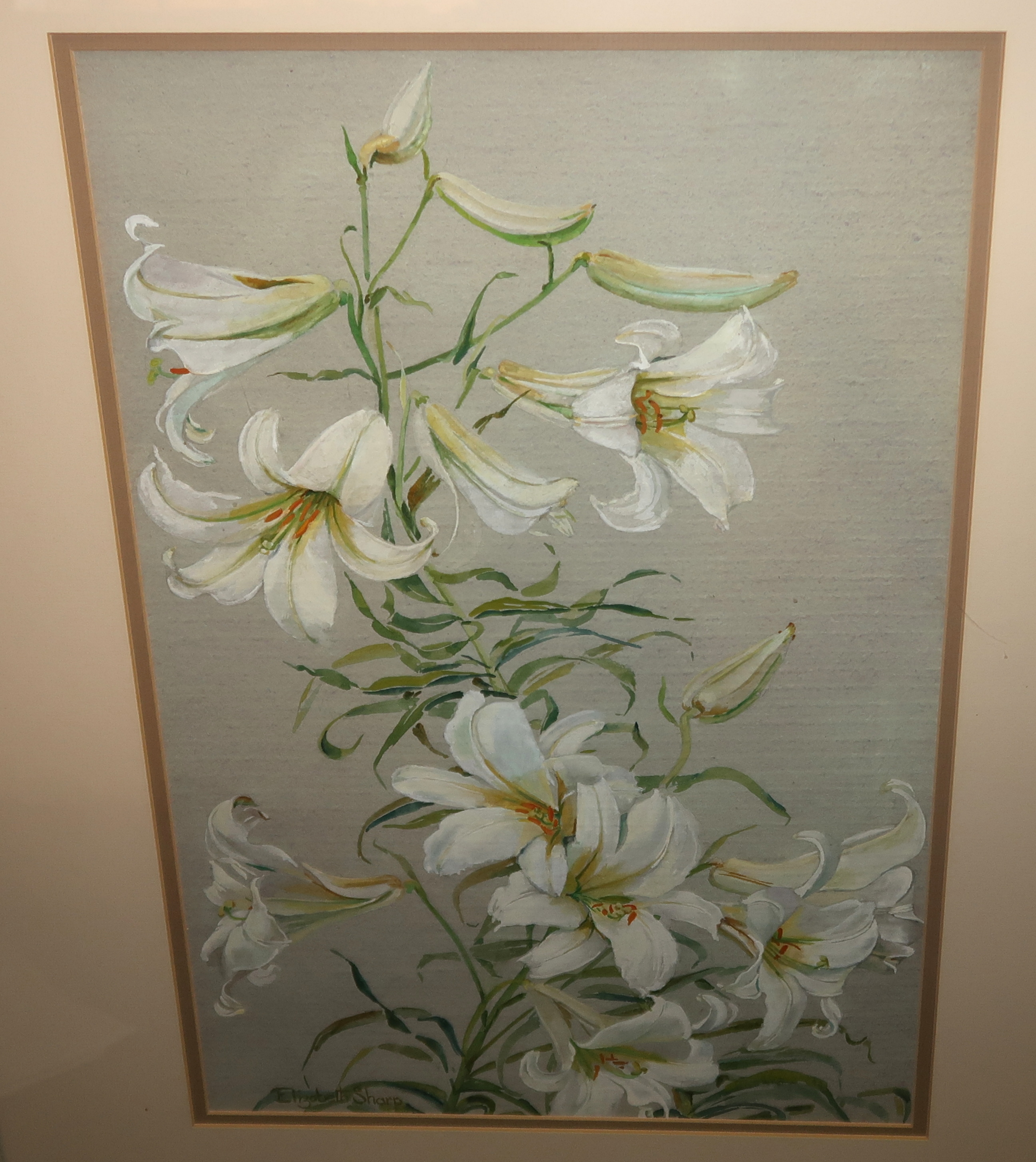 ELIZABETH SHARP Lily, signed, gouache, 52 x 35cm and two others (3) Condition Report: Available upon