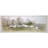 JUNE SHANKS Seven various watercolours, signed and SUSAN MURPHY Sheep, watercolour, 9 x 23cm (8)