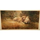 W E TAYLOR Lion, signed, watercolour, 14 x 28cm Condition Report: Available upon request