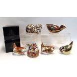 Six Royal Crown Derby paperweights including Manifold Wren, Chaffinch Nesting, wren, Blackcap,