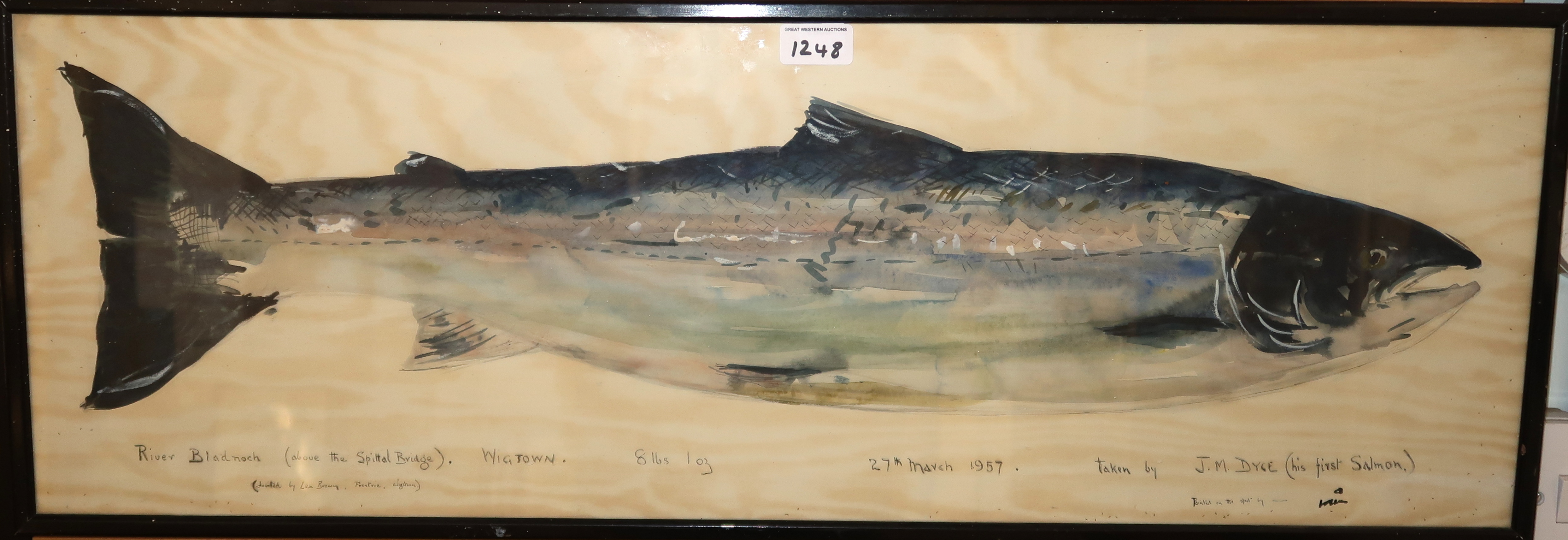 SCOTTISH SCHOOL Salmon 8lbs 1oz, signed, watercolour, 1957, 27 x 80cm Condition Report: Available