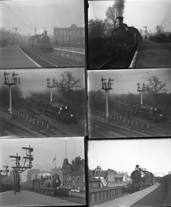 50 negatives comprising 28 large format glass negatives and 22 medium format cellulose negatives.