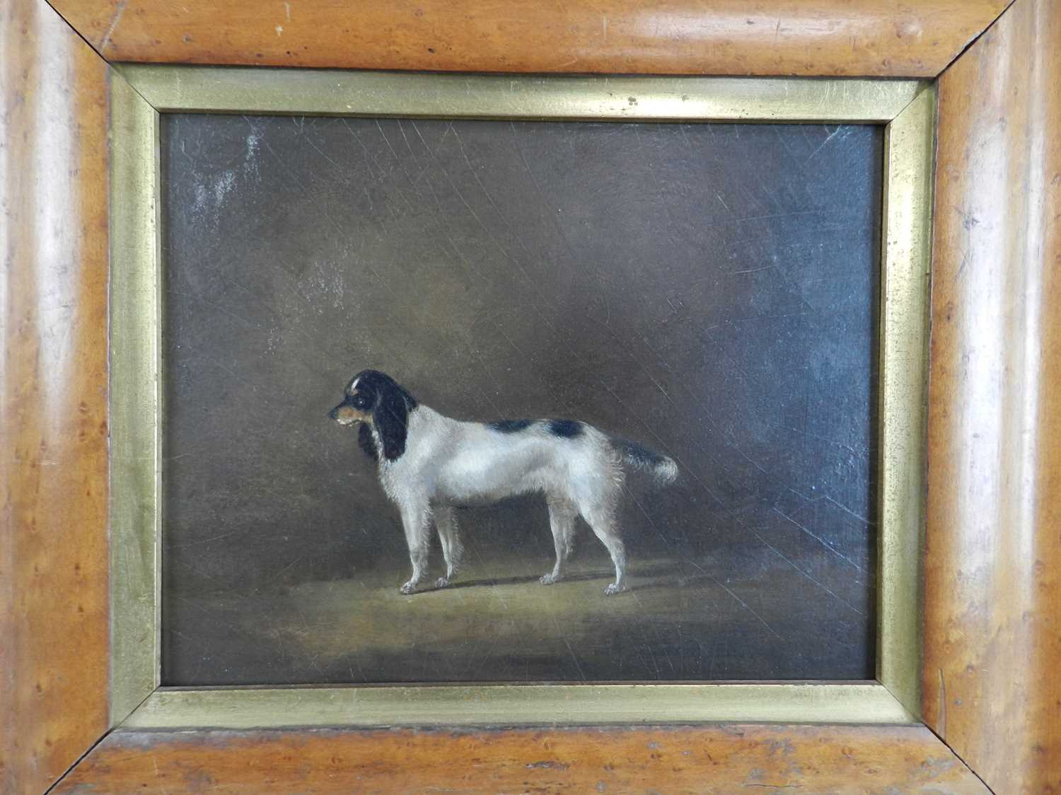 British School (19th Century) Springer Spaniel - Image 3 of 4