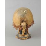 An unusual, decorative taxidermy Armadillo lamp,