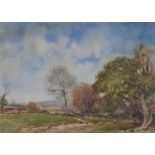 Samuel John Lamorna Birch RWS RA (Newlyn School, 1869-1955), Sheep and Trees
