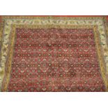 Indo-Bidjar rug, the raspberry field with all over Herati design, enclosed by Samovar motif borders,