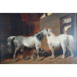 Oil study of two horses in a stable