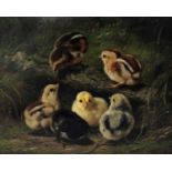 Arthur Fitzwilliam Tait, Chicks, oil on board