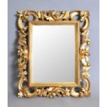 A decorative 19th century gilt wood and plaster Florentine type frame (mirror)