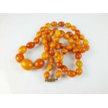 A graduated amber bead necklace