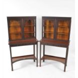 A pair of Edwardian mahogany Chippendale revival cabinets