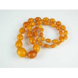 A graduated amber bead necklace