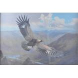 § John Cyril Harrison (British, 1898 - 1985), A Golden Eagle in flight above the Scottish Highlands