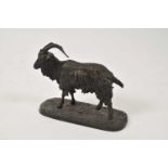 Pierre Jules Mene (French, 1810-79), a standing goat, signed in the casting, loaded bronze, 25cm,