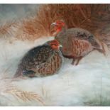 Teresa Davis (British Contemporary), Partridges in the Snow oil on board