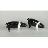 A pair of Beswick Saddleback pigs