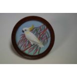 Miniature painting of a Sulphur Crested Cockatoo