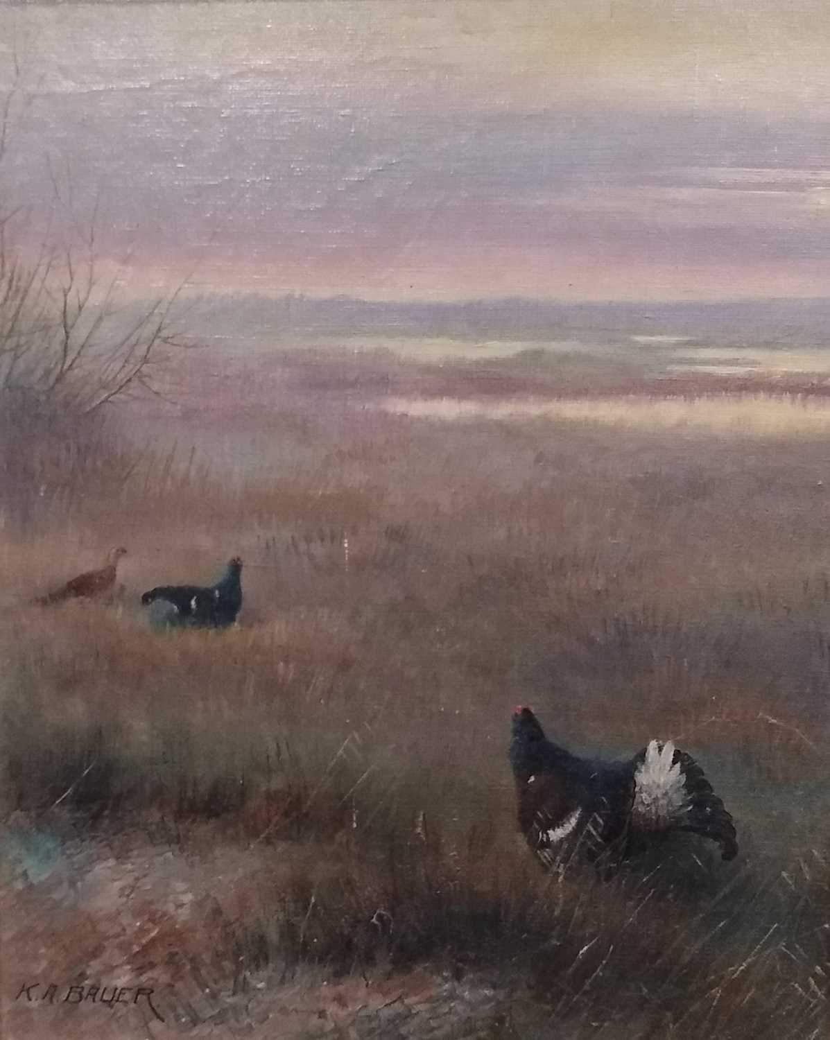 K.A. Bauer, Pair of oils of Forest Hogs and Blackgame - Image 2 of 2