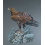 Mervyn Seagrove (British 20th Century) Standing Eagle on a Rocky Crag