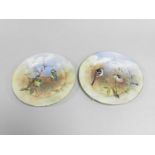 A pair of plates painted with birds by P.D. English