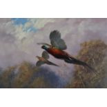 William Hollywood (British 1923-2007) Pheasants in Flight
