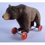 A VINTAGE STEIFF PULL ALONG BEAR. 60 cm x 40 cm.