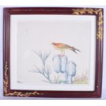 CHINESE SCHOOL (early 20th century) FRAMED WATERCOLOUR, a bird upon a rocky outcrop. 26 cm x 30 cm.