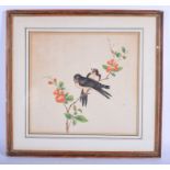 CHINESE SCHOOL (early 20th century) FRAMED WATERCOLOUR, two birds in a branch. 30 cm x 32 cm.