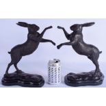 A LARGE PAIR OF BRONZE BOXING HARES. 30 cm x 22 cm.