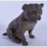 A COLD PAINTED BRONZE FIGURE OF A DOG. 13 cm x 11 cm.