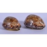 TWO GEORGE III SHELL SNUFF BOXES. 4 cm x 2.5 cm. (2)