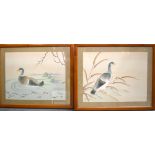 A FRAMED PAIR OF CHINESE WATERCOLOUR ON SILK, swimming ducks. 34.5 cm x 45 cm.