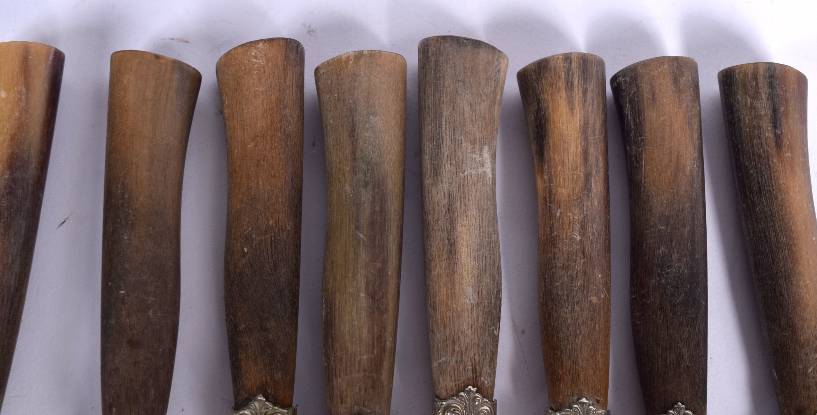 A SET OF EIGHT HORN HANDLED KNIVES, possibly rhinoceros. 24.5 cm long. (8) - Image 2 of 2