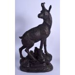 A LARGE ANTIQUE BAVARIAN BLACK FOREST STANDING STAG IBEX modelled upon a naturalistic base. 44 cm x