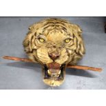 A GOOD VICTORIAN NORTH INDIAN TIGER HEAD. 28 cm x 35 cm.