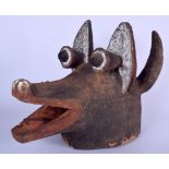 AN IVORY COAST WOODEN ZAMLE MASK, in the form of a boar head. 35 cm x 49 cm.