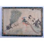 AN 18TH/19TH CENTURY JAPANESE EDO PERIOD WATERCOLOUR painted with exotic birds within a landscape.
