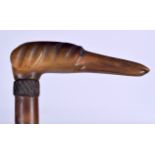 A RARE EARLY 20TH CENTURY RHINOCEROS HORN HANDLED WALKING CANE, the handle in the form of a dog hea