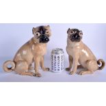 A PAIR OF 19TH CENTURY MEISSEN PORCELAIN FIGURES OF PUG DOGS each modelled standing upon there fron