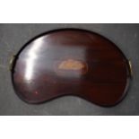 AN EDWARDIAN SATINWOOD INLAID KIDNEY SHAPED TRAY, decorated with a conch shell. 55 cm x 33 cm.