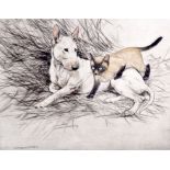 GEORGE VERNON STOKES (1873-1954) FRAMED COLOURED ETCHING, signed, study of a dog with a cat. 20 cm
