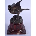 AN ANTIQUE AUSTRIAN COLD PAINTED BRONZE BIRD modelled upon a marble plinth. 20 cm x 12 cm.