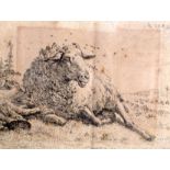 BRITISH SCHOOL (19th/20th century) FRAMED ETCHING, a sheep in a landscape. 7.5 cm x 9.5 cm.