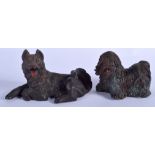 TWO AUSTRIAN COLD PAINTED BRONZE DOGS each modelled recumbent. 14 cm & 11 cm wide. (2)