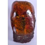 A LARGE VINTAGE CARVED AMBER INSECT SCORPION SPECIMEN. 24 cm x 12 cm.