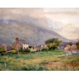 WELSH SCHOOL (20th century) FRAMED WATERCOLOUR, monogrammed MBB, a female feeding chickens in a lan