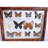 A FRAMED BUTTERFLY TAXIDERMY DISPLAY, containing various species. 28.5 cm x 38 cm.