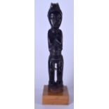 AN IVORY COAST BAOULE WOODEN FERTILITY FIGURE, formed standing with a purple tinge. 33 cm high.