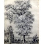 AN EARLY PENCIL SKETCH, depicting a tree in a landscape. 27.5 cm x 20 cm.