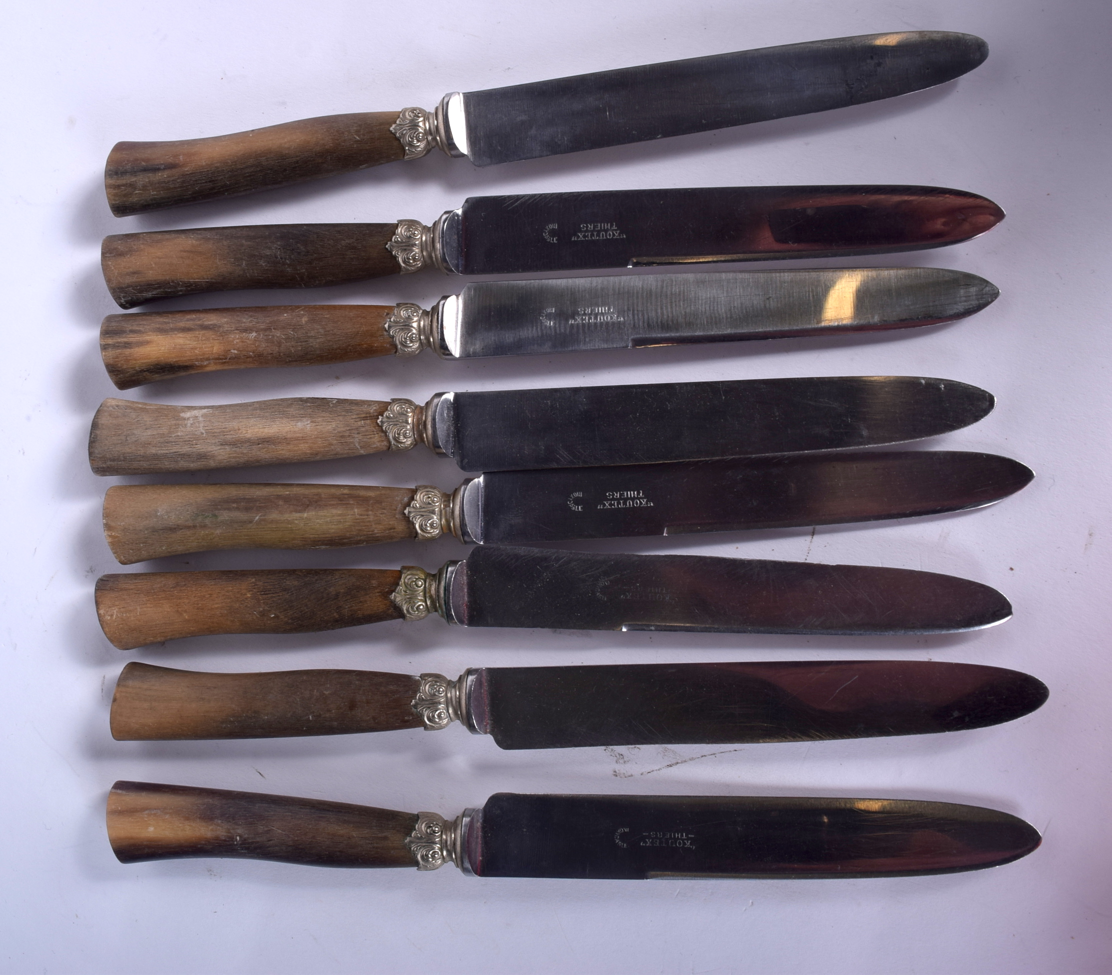 A SET OF EIGHT HORN HANDLED KNIVES, possibly rhinoceros. 24.5 cm long. (8)